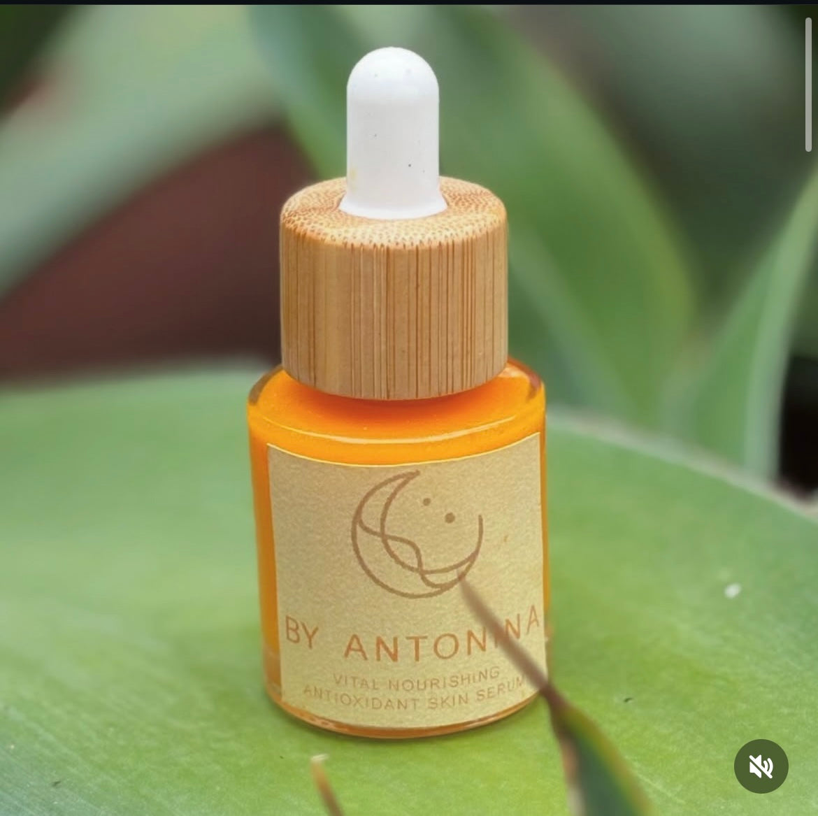 Vital Nourishing Antioxidant Serum