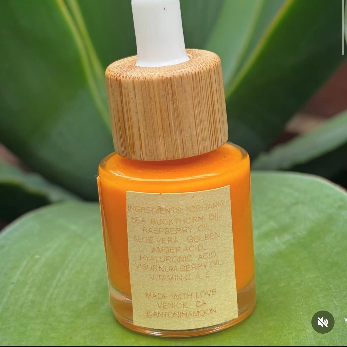 Vital Nourishing Antioxidant Serum