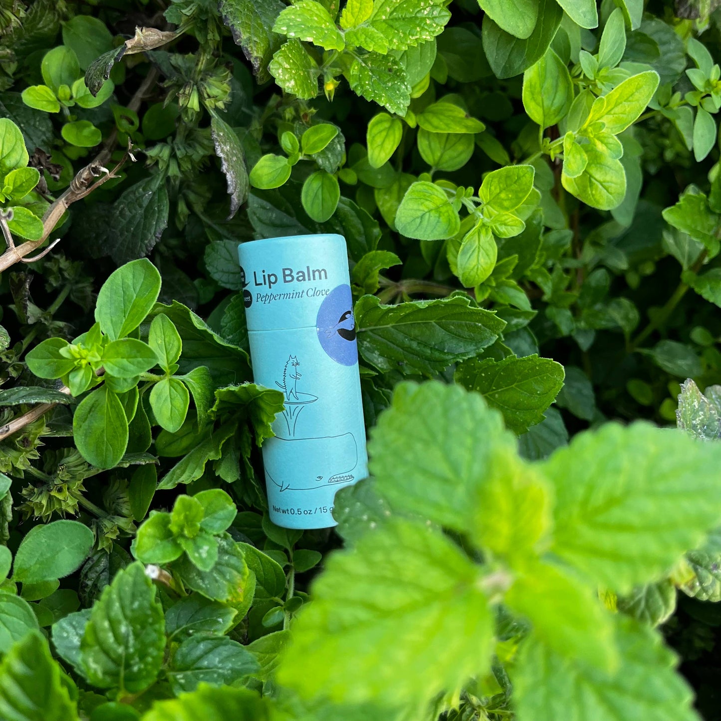 Vegan Lip Balm