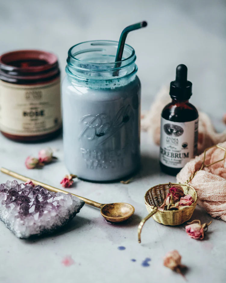 CEREBRUM Tonic | Memory + Cognitive Support*