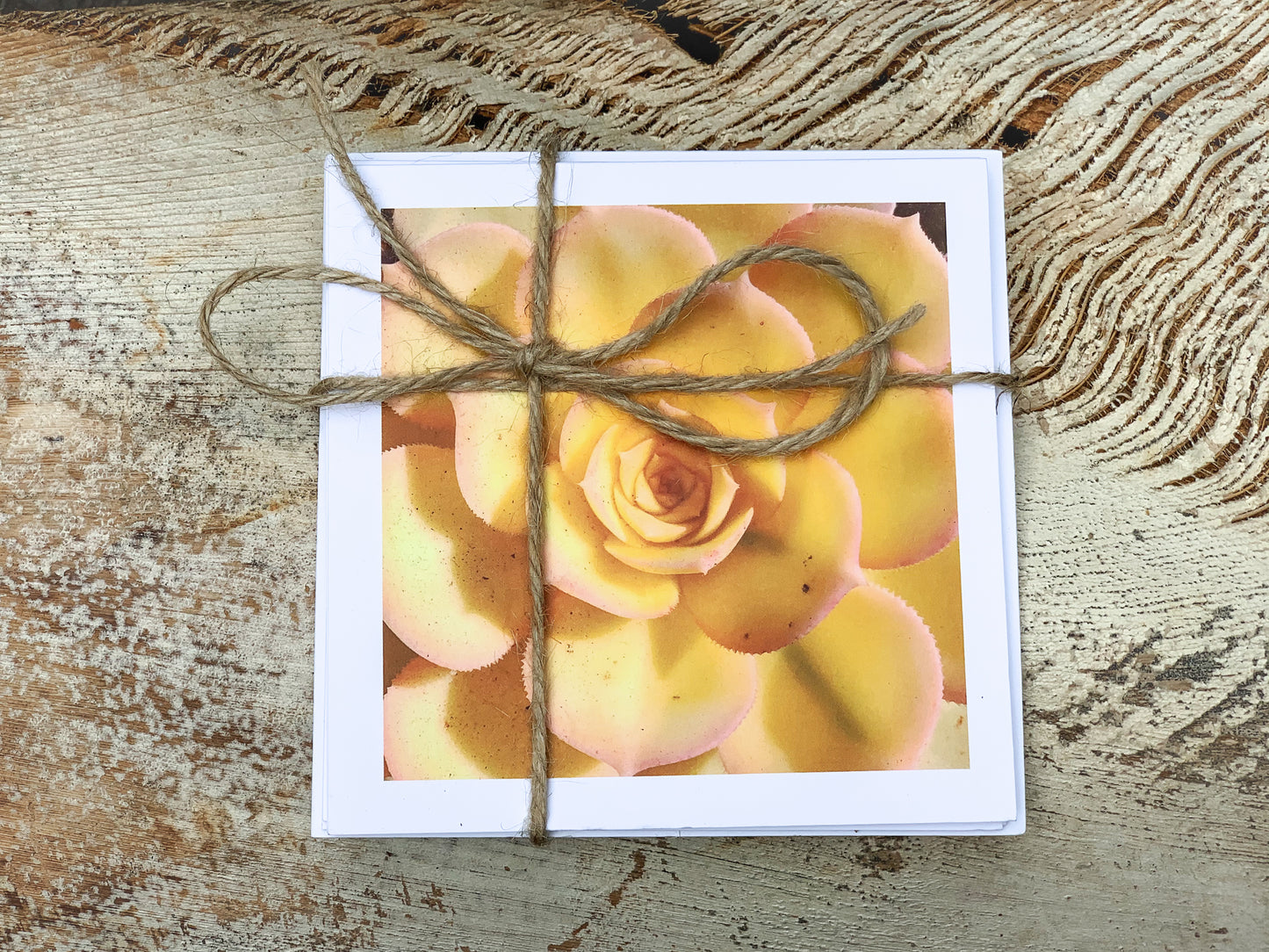 Blank Cards by Alia