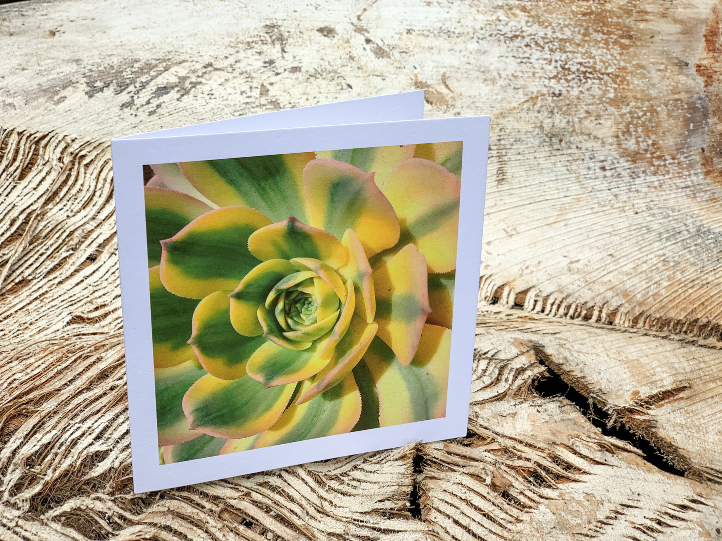 Blank Cards by Alia