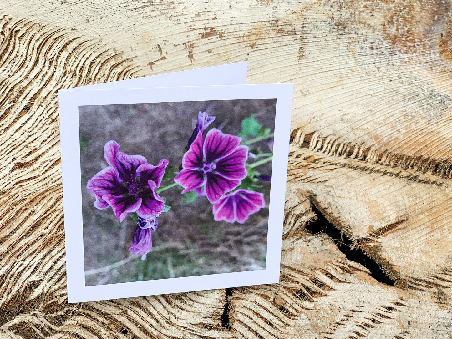 Blank Cards by Alia
