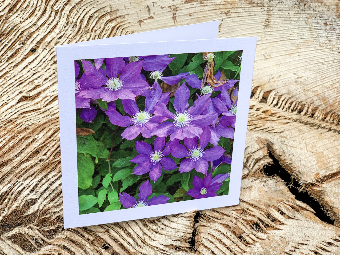 Blank Cards by Alia
