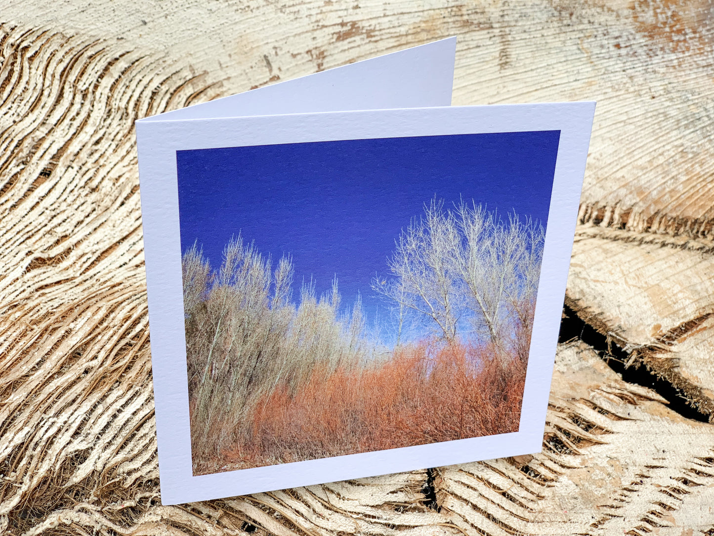 Blank Cards by Alia