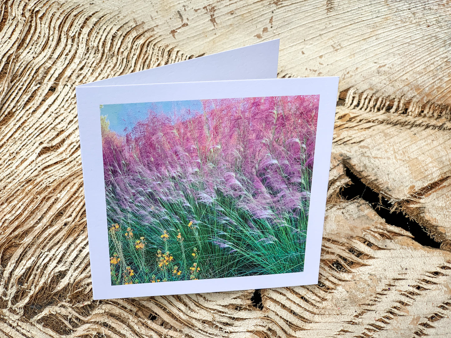 Blank Cards by Alia