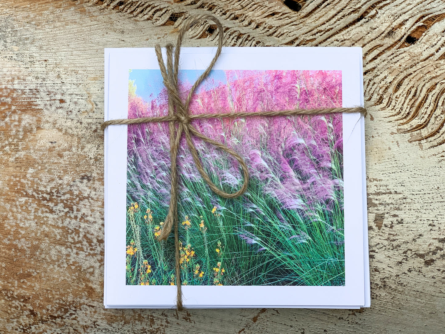 Blank Cards by Alia