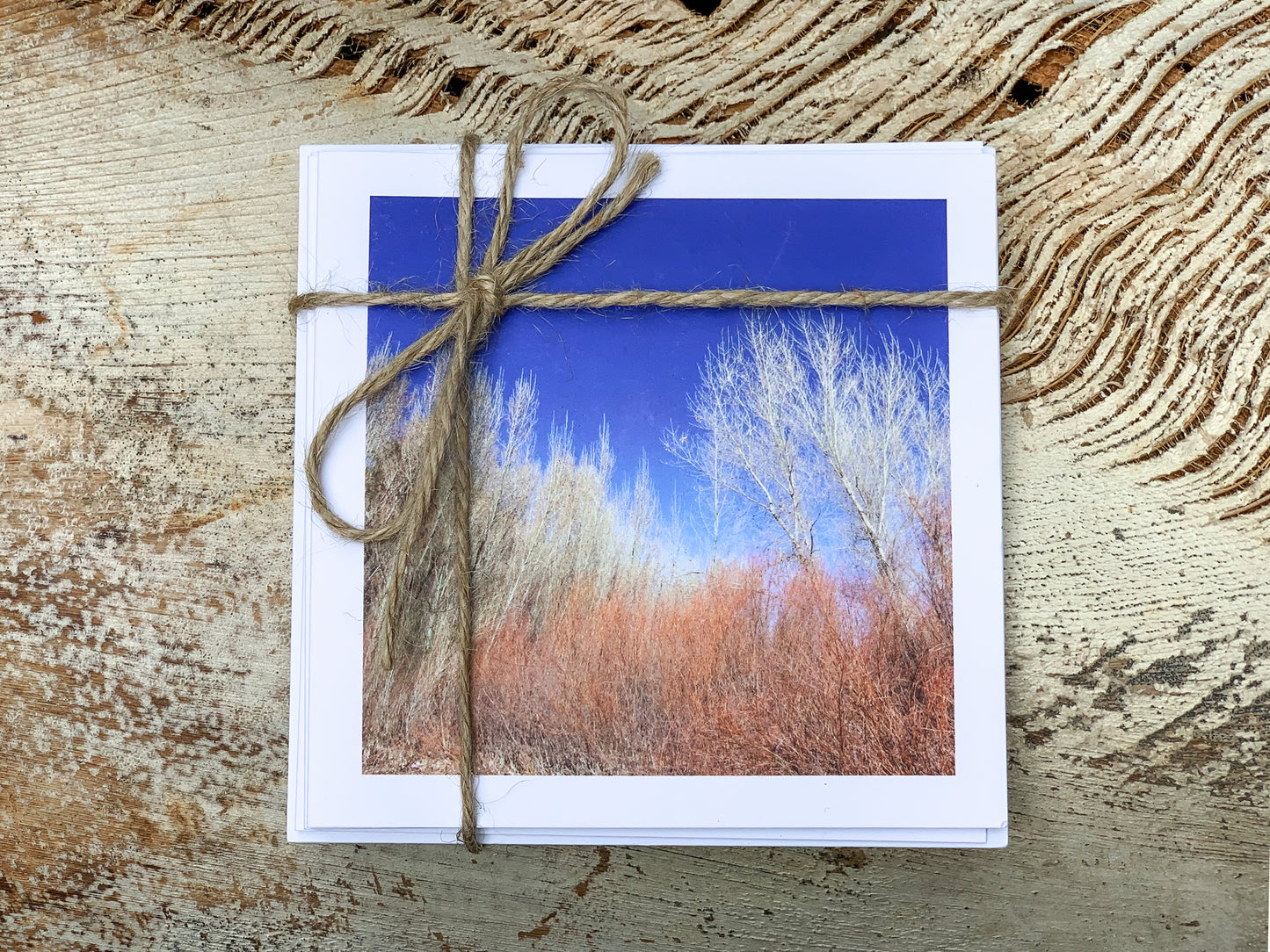 Blank Cards by Alia