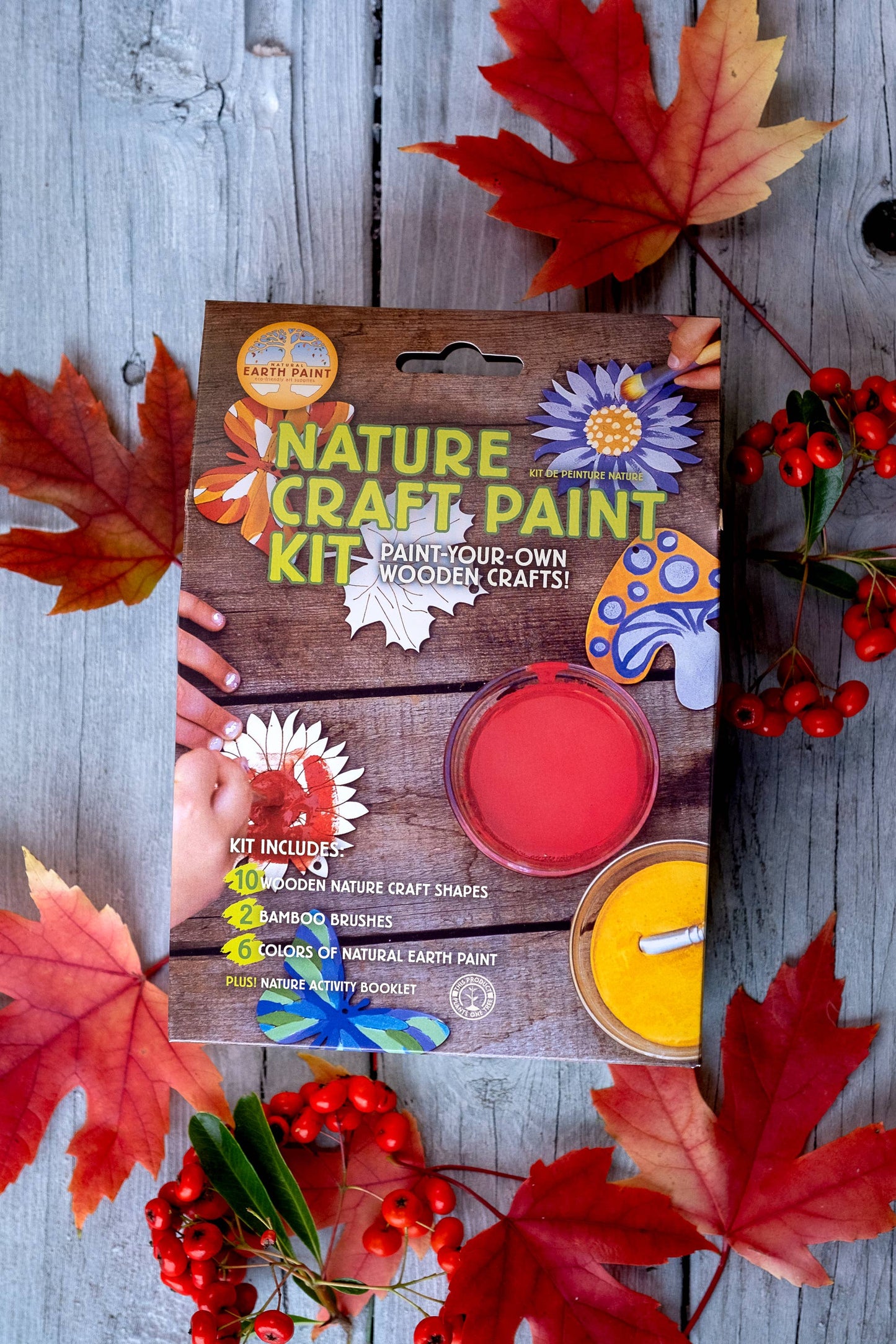 Nature Craft Paint Kit