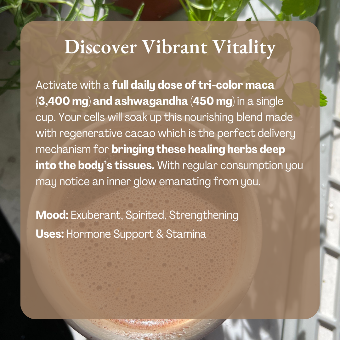 Ceremonial Cacao 1oz Sachets | Vibrant Vitality 100% Organic