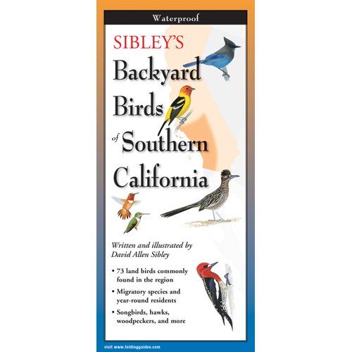 Sibley's Backyard Birds of Southern California