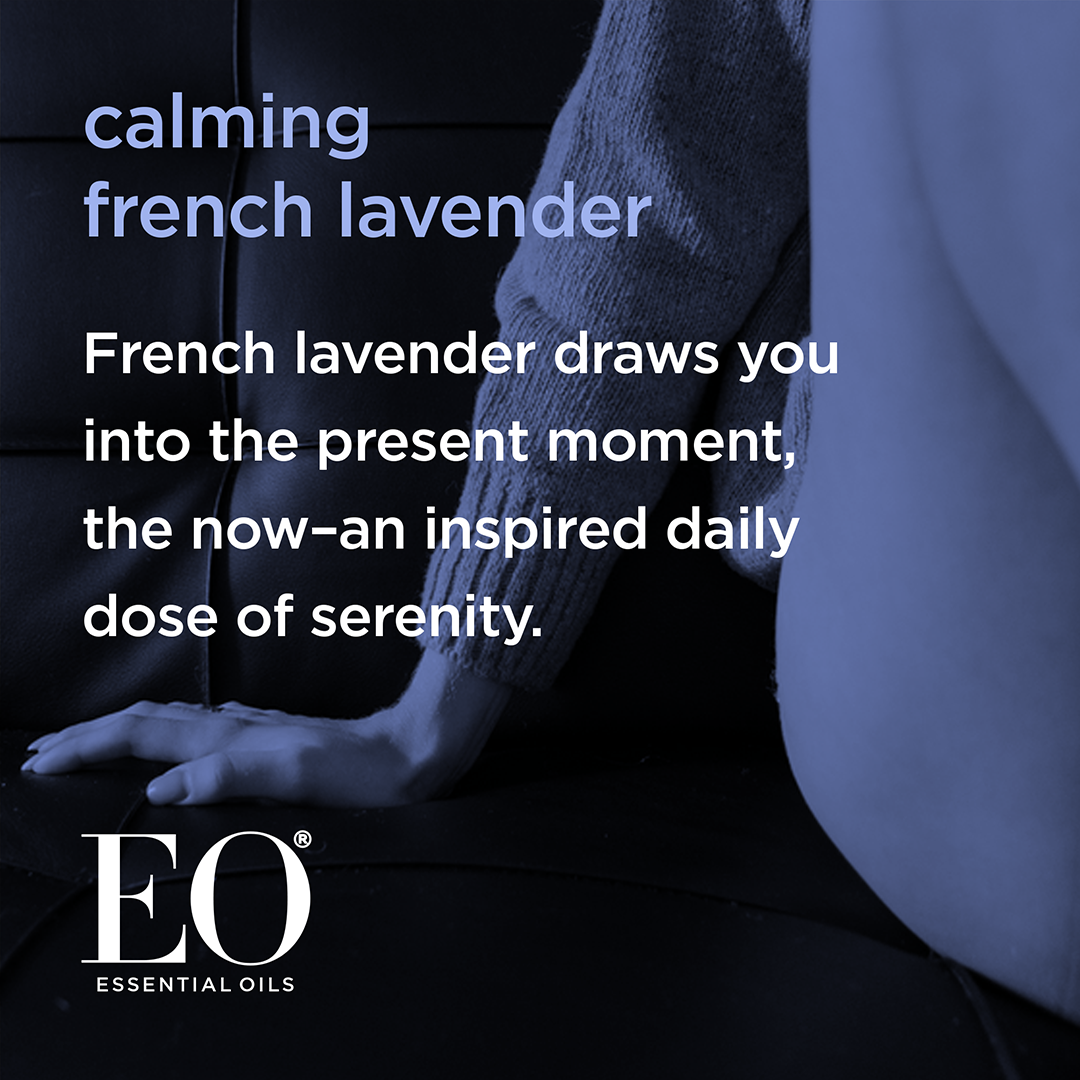 Hand Soap French Lavender Refill Case Pack of 6