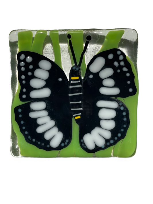 Fused Glass - 4" x 4" Square Dish (Depths Vary)