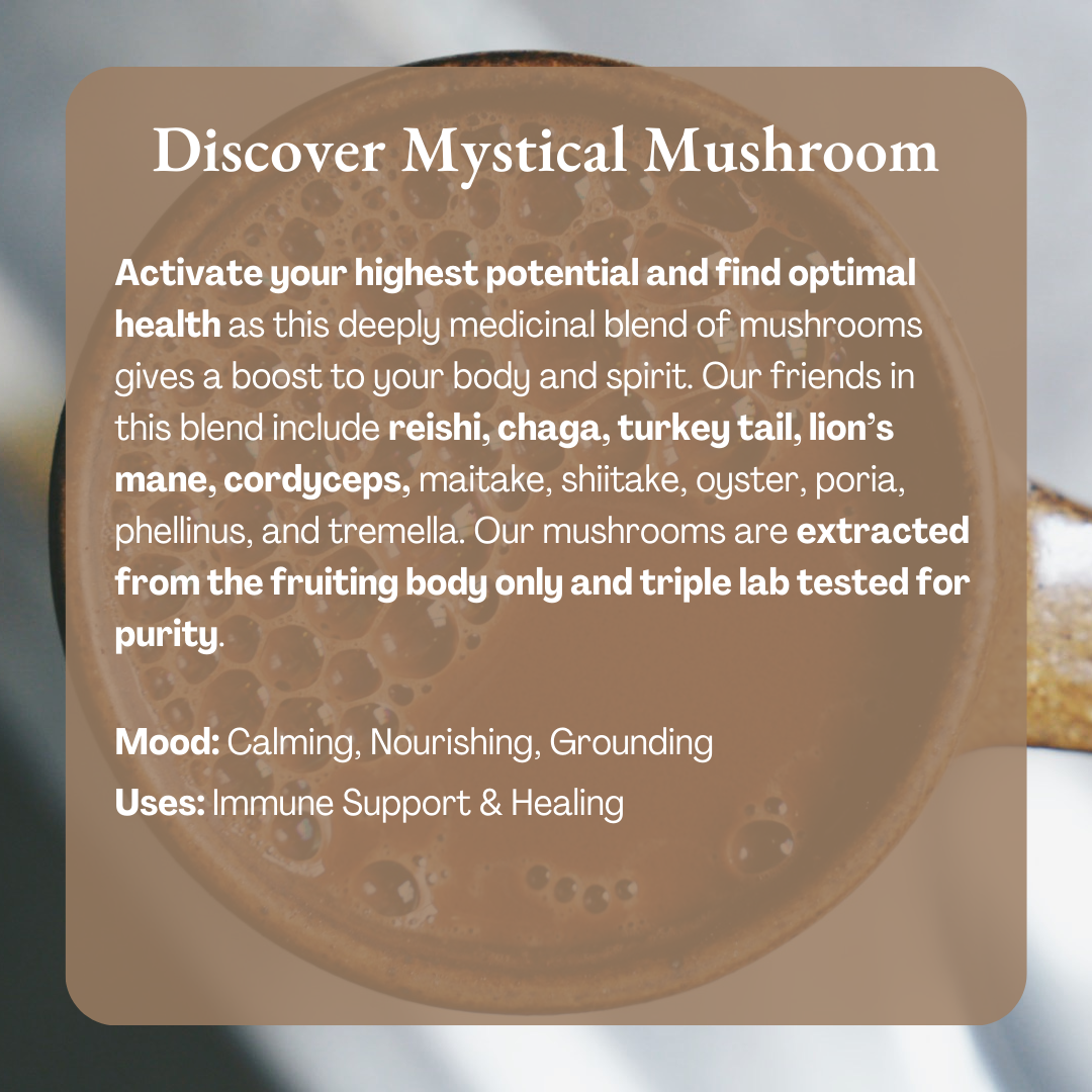 Ceremonial Cacao | Mystical Mushroom 100% Organic Cacao