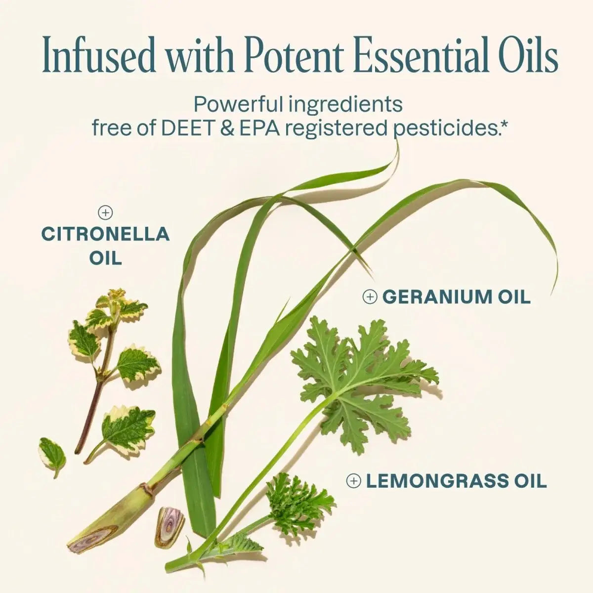 Mosquito Repellent Bracelets