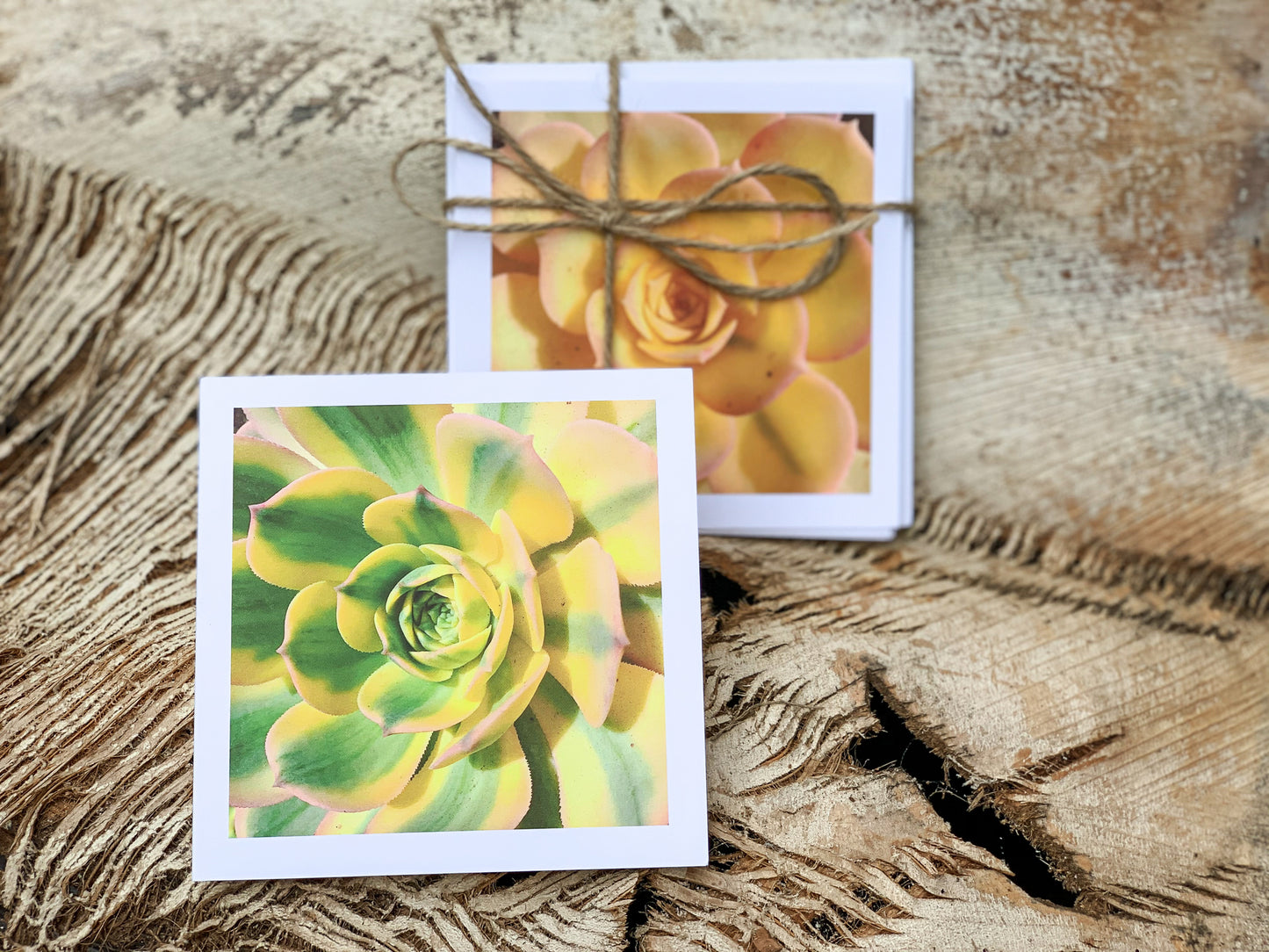 Blank Cards by Alia
