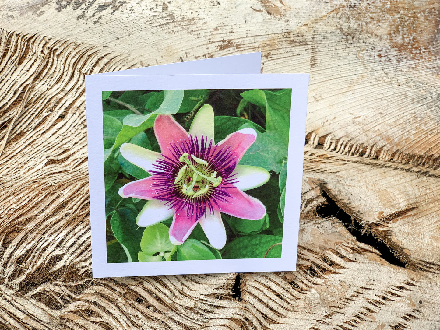 Blank Cards by Alia