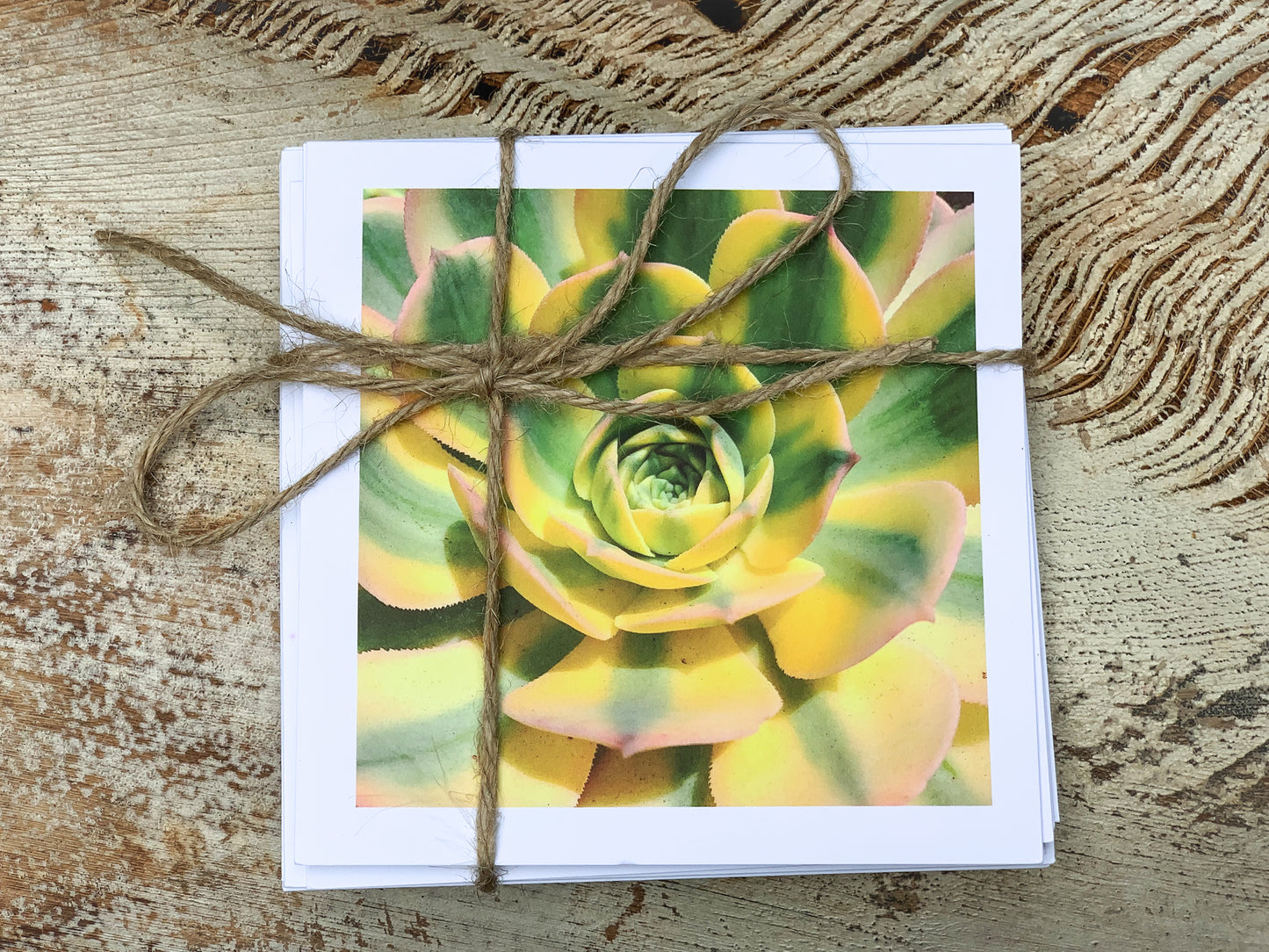 Blank Cards by Alia